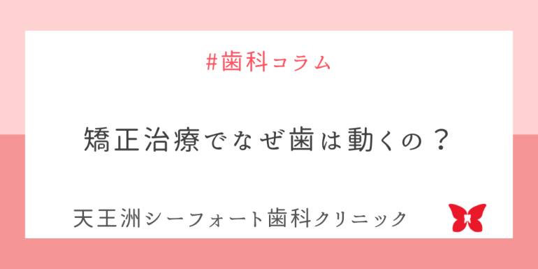 矯正治療でなぜ歯は動くの？